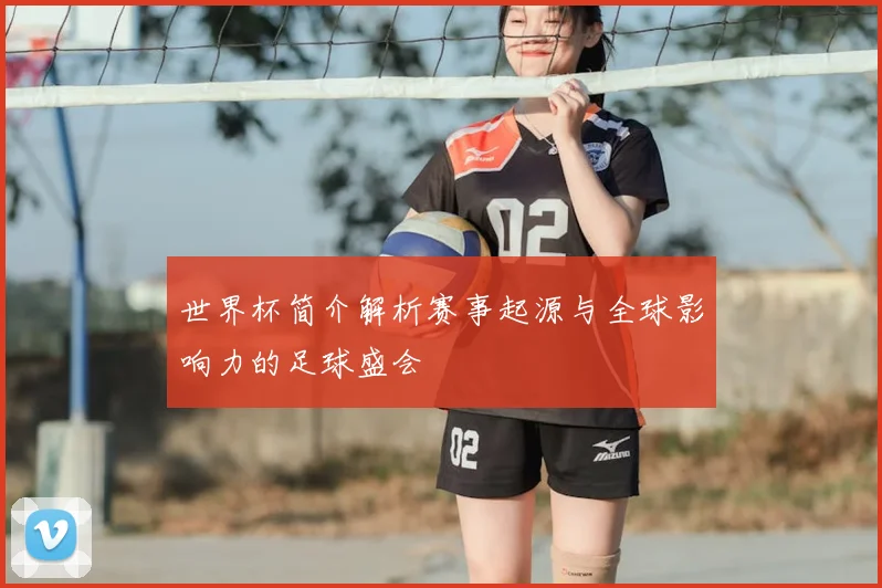 世界杯简介解析赛事起源与全球影响力的足球盛会
