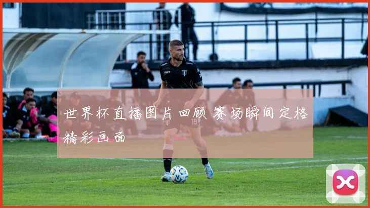 世界杯直播图片回顾 赛场瞬间定格精彩画面