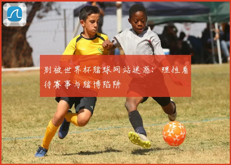 别被世界杯赌球网站迷惑:理性看待赛事与赌博陷阱